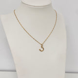 Vani Lucky Horseshoe Necklace