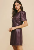 Wine Faux Leather Fitted Dress