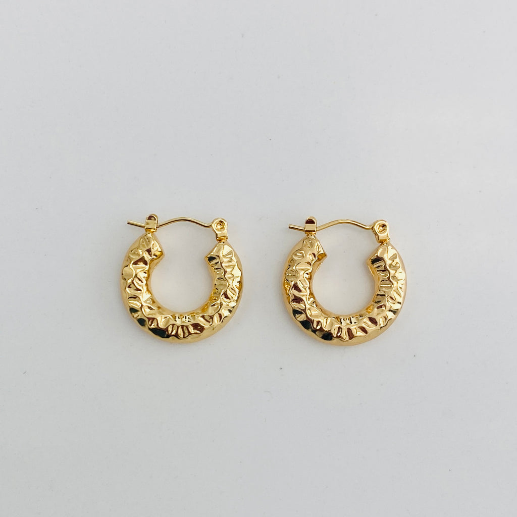 Vani Gold Hammered Hoops