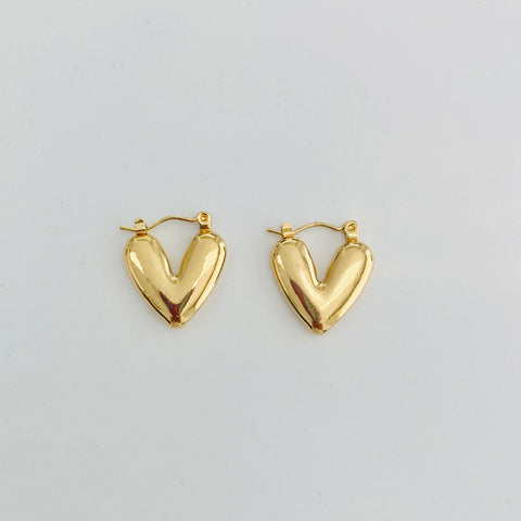 Vani Heart Hoops