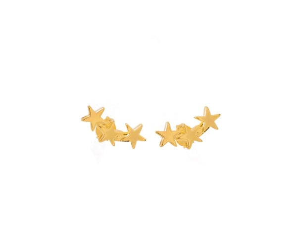 Vani Star Earrings